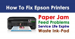 How to Fix Epson Printer Paper Jam and Feed Problems